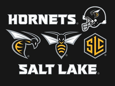 29/32 – Salt Lake Hornets branding design flash sheet football graphic design hornet illustration logo salt lake city sports sports branding typography utah