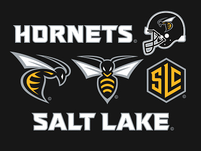 29/32 – Salt Lake Hornets branding design flash sheet football graphic design hornet illustration logo salt lake city sports sports branding typography utah