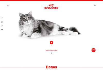 ROYAL CANIN ui