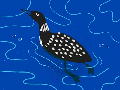 Common Loon Sketch bird bird illustration birder birding blue color palette common loon digital art freelance illustrator loon loon illustration north american north american wildlife water water bird wildlife illustration