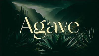 Agave Brand branding design graphic design graphich logo social media