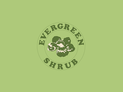 Evergreen Shrub branding design emblem graphic design illustration logo typography vector