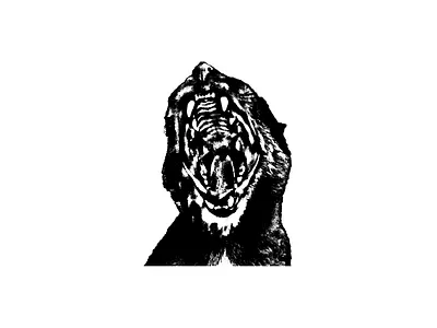 Kitty branding design emblem graphic design illustration logo typography vector