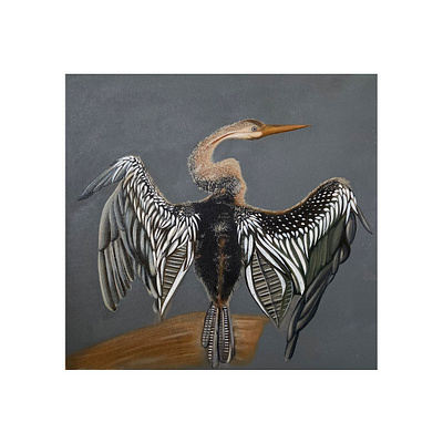 Oriental Darter Oil on Canvas 16x16 painting