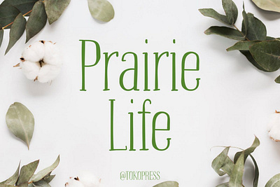 Prairie Life – Cute Font branding cute font display font font gaming girly font instagram font movie font poster youtube