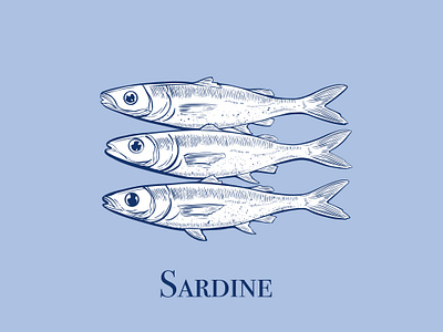 Line drawing "Sardine" artfish illustration lineart linedrawing minimalism