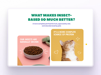 Gamified Card Hover: A Fun, Intuitive Way to Explore Pawprints about us section agency animation app design card interaction card ui cat food cat food website graphic design motion graphics pet food product ui product web product website ui ui design uiux ux design web design website design