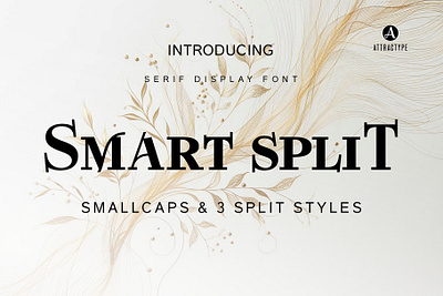 Smart Split - Serif Display Font with Split styles modern