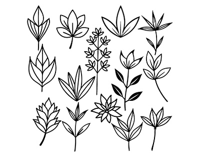 Black Minimal Botanical Graphic Sketch illustration