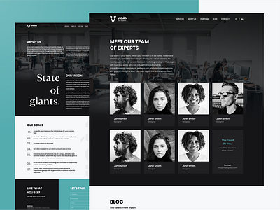 Vigan - Consulting & Outsourcing Agency about us agency consulting dark flat homepage minimal services team