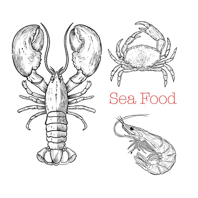 Sea food, line art artwork digital art digital illustration graphic design illustration line art line drawing minimalart vector