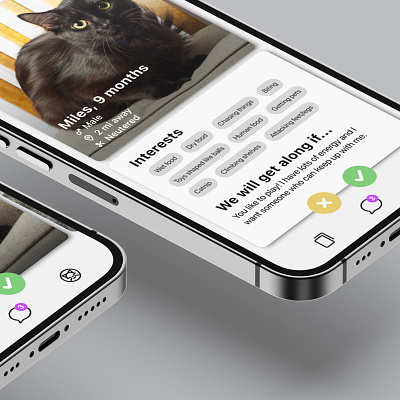 Dating App for Cats app design figma graphic design product design uiux ux design