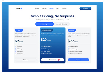 UI Design Challenge: Pricing Page branding graphic design logo ui