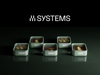 Systems systems