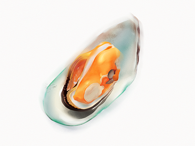 Green-lipped mussel - 青口贝 beach dinner food illustration mussel ocan photoshop sea seafood summer vector