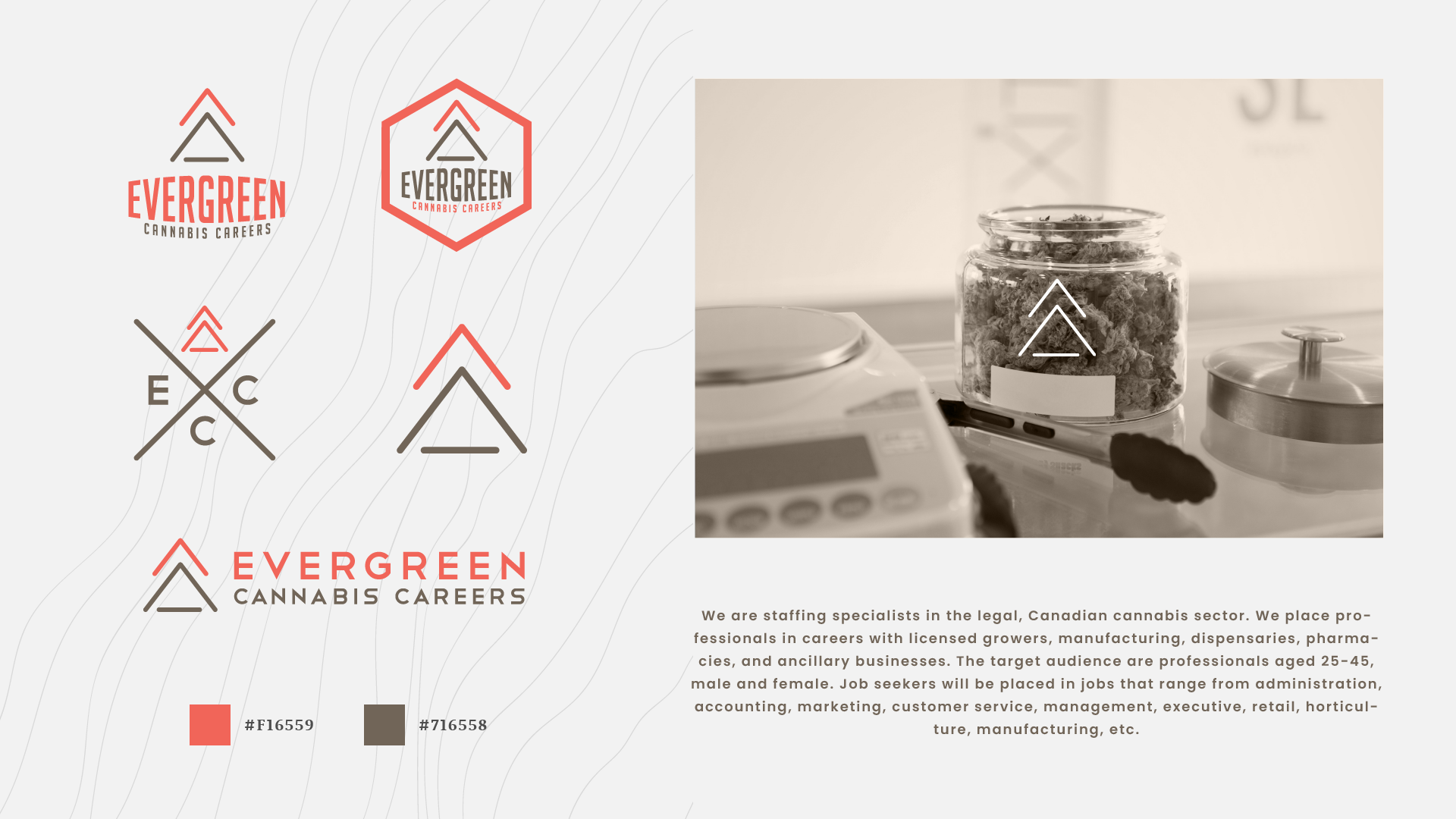 Example of Logo/Branding Design