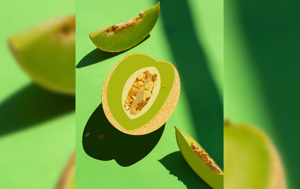 Fruit Illustrations | Hand Drawn | Isometric | organic cantaloupe cranberry design design inspiration fruit illustration fruits graphic design graphic design inspiration hand drawn hand drawn illustration handmade illustration illustrator isometric kiwi mango ol peach