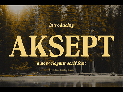 Aksept – Serif Font font serif serif font typeface typography