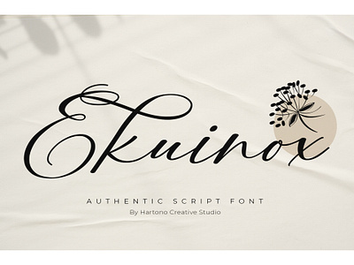 Ekuinox – Script Font ekuinox font lettering script script font type design typeface typography