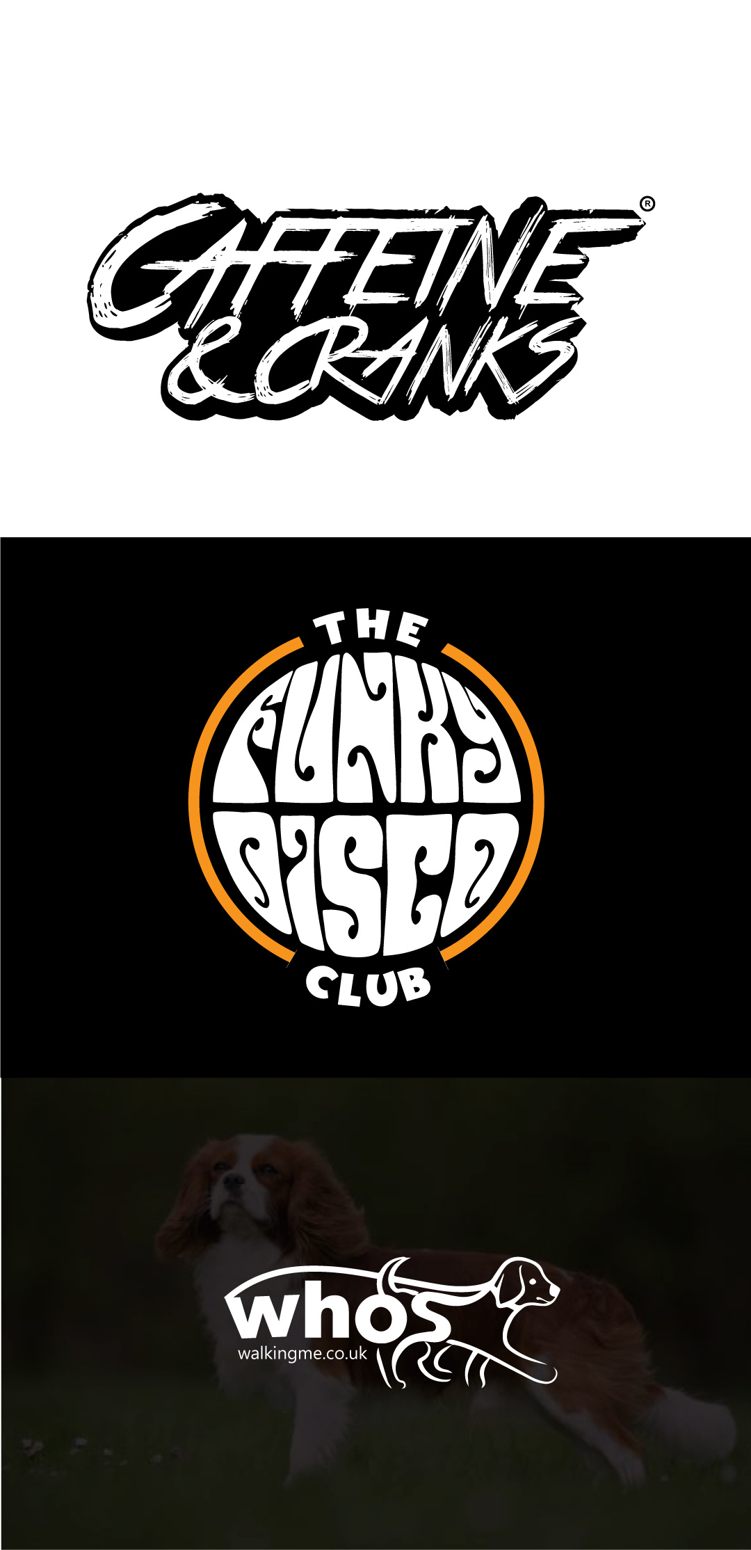 Example of Minimal Logo Design 