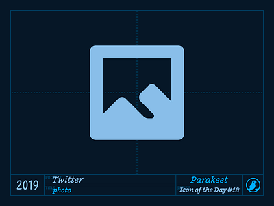 Icon of the Day #18 camera design icon icons ios mountains parakeet photo stock twitter ui vector