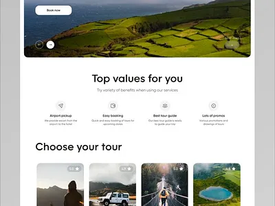 Travel Website UI branding design graphic design illustration logo ui uiux ux vector web design