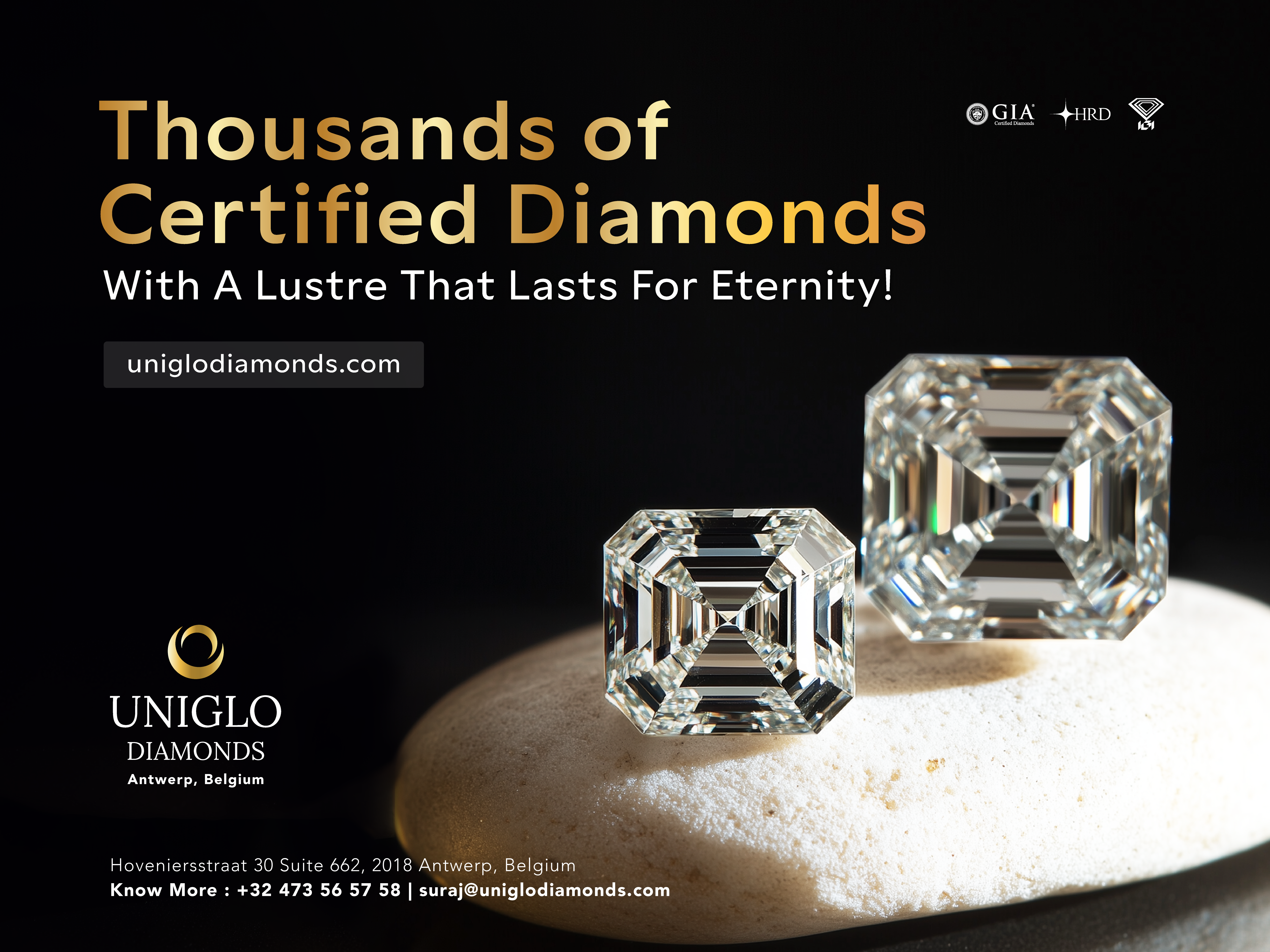 Example of Flyers/ Posters/ Social Media/ Standee