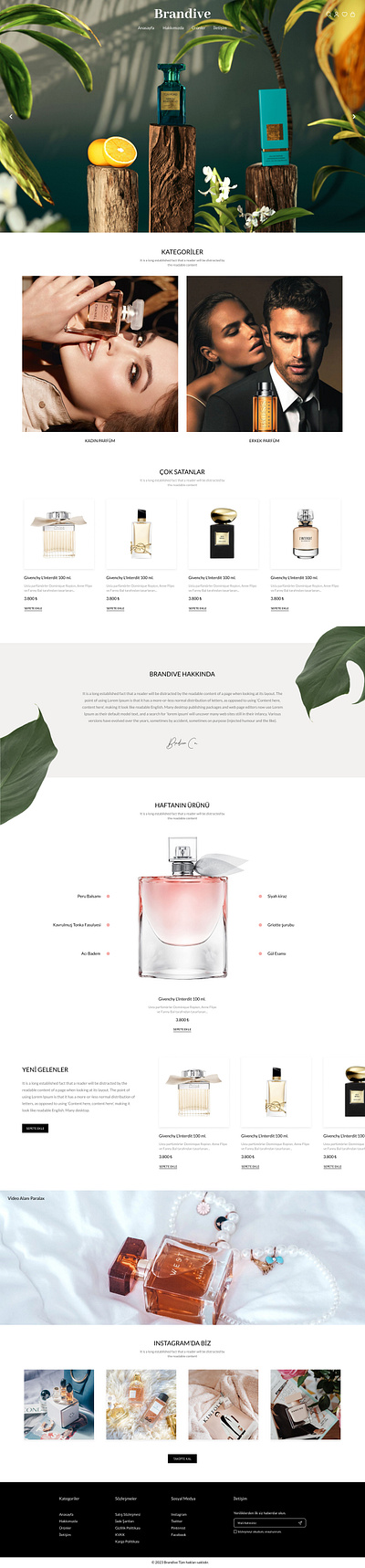 Brandive | Web Design app branding design ecommerce figma graphic design illustration logo photoshop ui