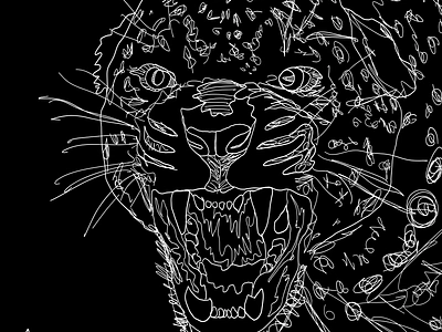 Roar of the Wild creative design flat graphic design illustration vector