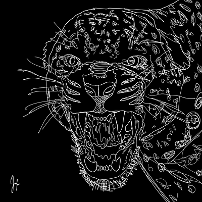 Roar of the Wild creative design flat graphic design illustration vector