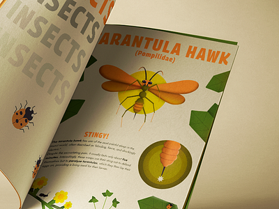 TARANTULA HAWK - STINGY! animal biology colorful editorial design flat design graphic design illustration info insect magazine nature plants vector