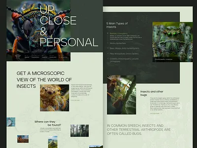 Landing page design for a website about bugs graphic design landing page ui user interface design visual design web design