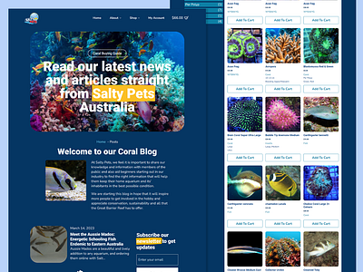 Salty Pets - eCommerce & Wholesale Store branding design seo web design website