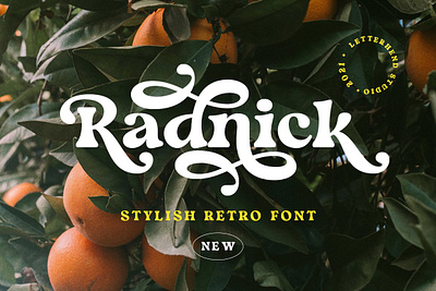 Radnick - Stylish Retro Font 60s font 70s font 80s font classic font fashion groovy instagram font magazine old school font retro font stylish font swash font vintage font vintage serif