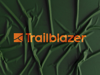 Trailblazer Visual Identity adobe photoshop apparel design brand brand design brand guide brand identity branding design studio graphic design label design logo marketing visual identity