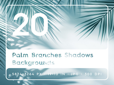 20 Palm Branches Shadows Backgrounds backdrops backgrounds branches buy pack palm palm backgrounds palm branches palm branches backgrounds palm shadows palm shadows backgrounds purchase series set shadows