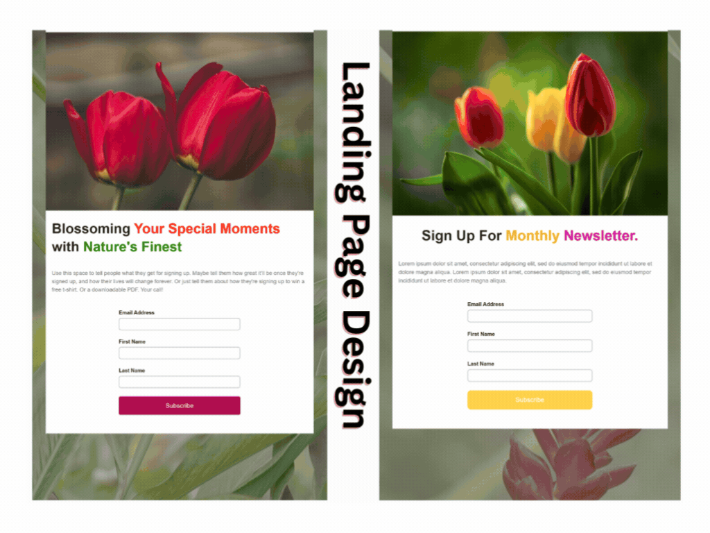 Landing Page Desing for Mailchimp adobe photoshop canva klaviyo mailchimp