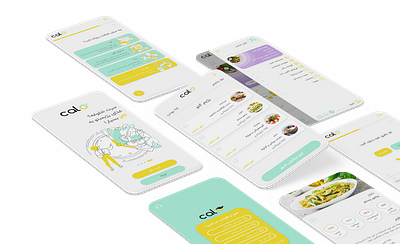 Application Design for diet and healthy food delivery (Persian) graphic design ui