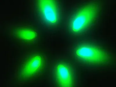 Lights ae after effects animation motion motion design motion graphics