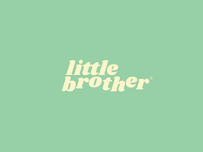 Little Brother art brand bubble design fat fun hip pastel playful skateboard type