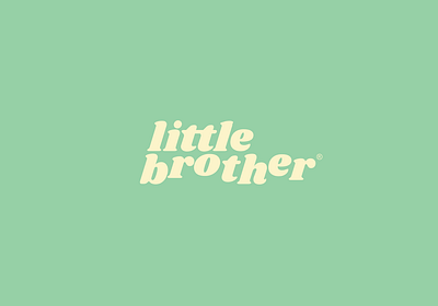 Little Brother art brand bubble design fat fun hip pastel playful skateboard type