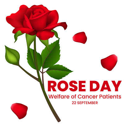 ROSE DAY 22 september adobe illustrator design graphic design green illustration leaves pink pink rose red red rose rose day rose petals stem vector welfare of cancer patients