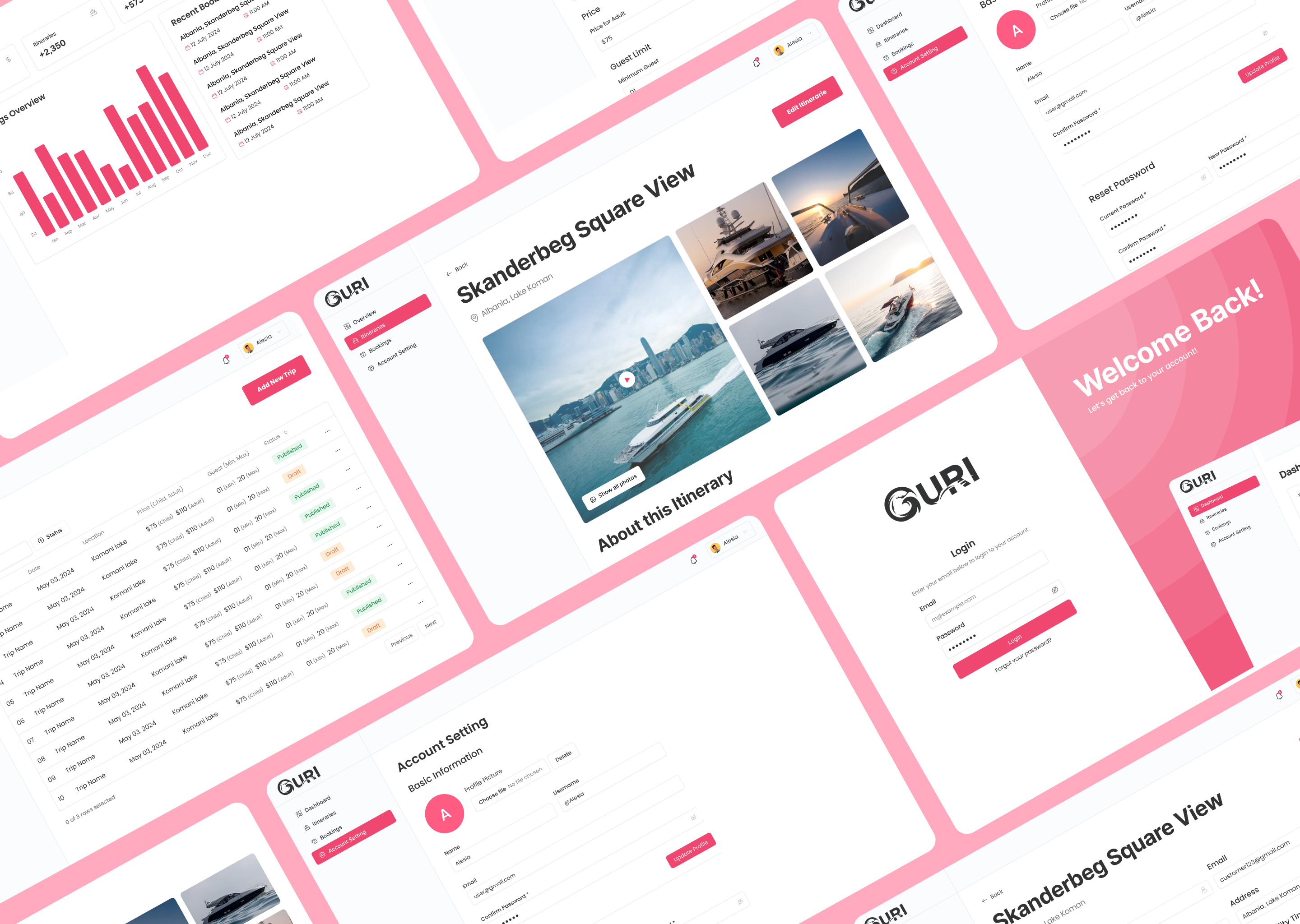 Example of Saa S Website Design & Development