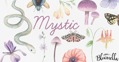 Mystic Watercolor Clipart clipart floral flowers illustration watercolor watercolour