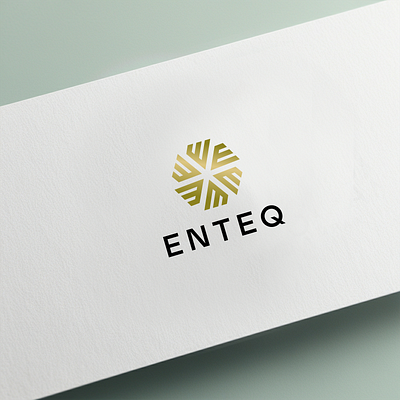 The logo named "Enteq" has been designed by Ansysoft adobe illustrator aesthetic automated electricity meters energy efficient downlights logo design modern lifestyles smart home products smart sockets switches tech savvy thermostat controls