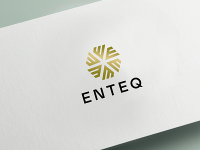 The logo named "Enteq" has been designed by Ansysoft adobe illustrator aesthetic automated electricity meters energy efficient downlights logo design modern lifestyles smart home products smart sockets switches tech savvy thermostat controls