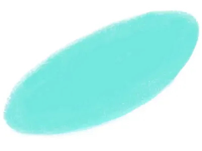 Animacja reklamująca karmę dla ryb Vitalis - praca w zespole adventising animation branding fish graphic design