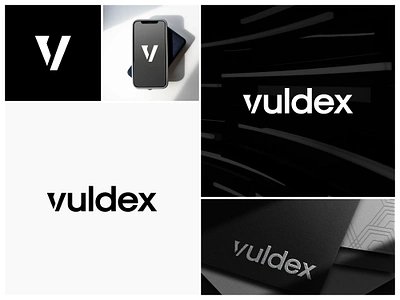 Vuldex Cybersecurity Icon Design branding brandlogo creativelogo cybersecurity graphic design icondesign logo logodesign vuldex