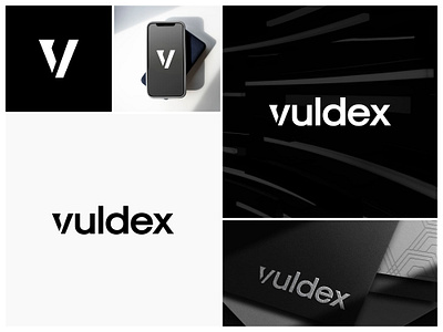 Vuldex Cybersecurity Icon Design branding brandlogo creativelogo cybersecurity graphic design icondesign logo logodesign vuldex