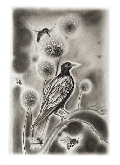 Birds and Bees charcoal graphite illustration